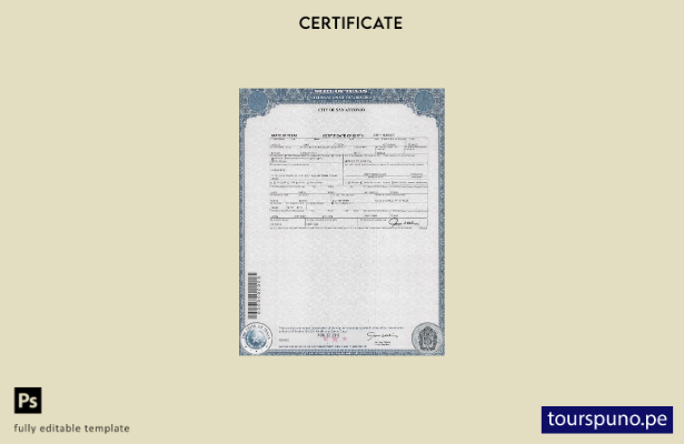 Plantilla de certificado de nacimiento de EE. UU., Texas, lista para imprimir